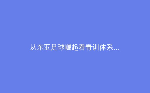 从东亚足球崛起看青训体系变革：技术流如何重塑亚洲足坛格局 - 3